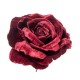 PICK ROSA DELUXE VELVET BORDEAUX