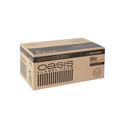 Spugna Oasis Bio 20 Pz