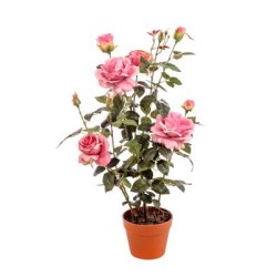 PIANTA ROSA CON VASO CM.82 PINK