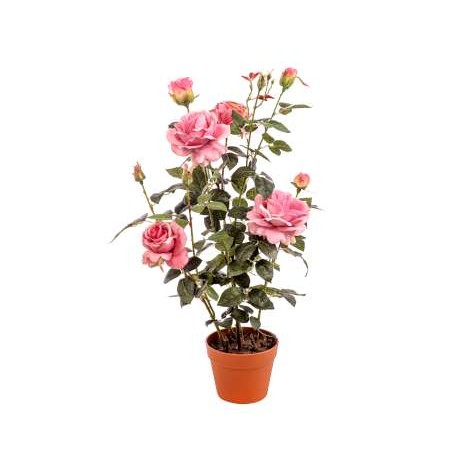 PIANTA ROSA CON VASO CM.82 PINK