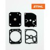 Serie Di Membrane Carburatore