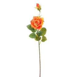 ROSA CON BOCCIOLO ORANGE CM.59