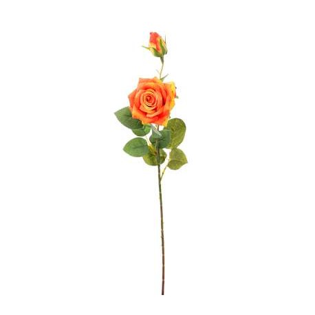 ROSA CON BOCCIOLO ORANGE CM.59