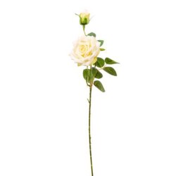 Rosa Con Bocciolo Cream Cm.59