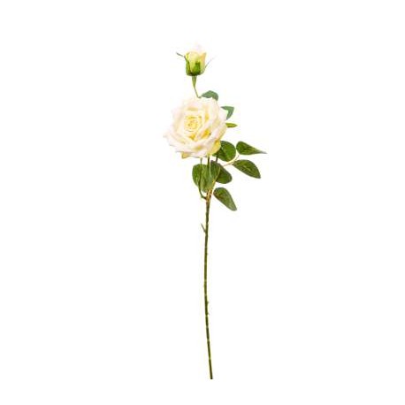 ROSA CON BOCCIOLO CREAM CM.59