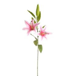 LILIUM NATURAL TOUCH  CM 85 PINK