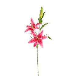 Lilium Natural Touch  Cm 85 Beauty