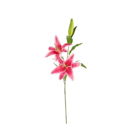 LILIUM NATURAL TOUCH  CM 85 BEAUTY