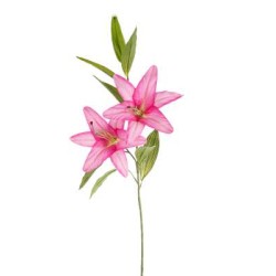 Lilium Natural Touch  Cm 85 Fucsia