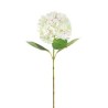 Ortensia Singola Cm.69 Crema