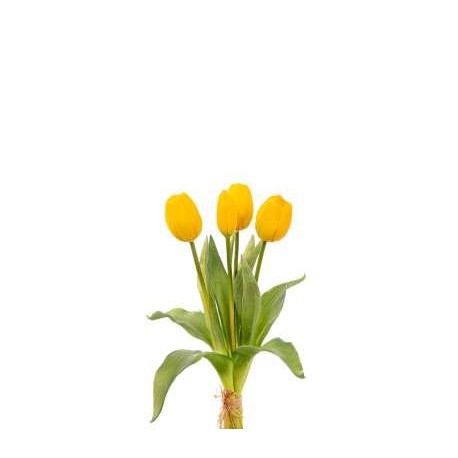 BUNDLE TULIPANI NATURAL TOUCH CM.35 YELLOW