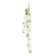 CASCANTE BOUGANVILLEA H.CM 135 WHITE