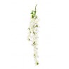 CASCANTE BOUGANVILLEA H.CM 135 WHITE