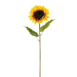 Girasole Singolo Cm.64