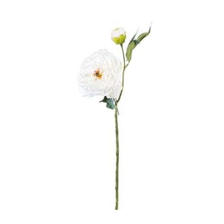 PEONIA CON BOCCIOLO DRY  WHITE CM.64