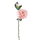 PEONIA CON BOCCIOLO DRY  PINK  CM.64