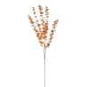 Ramo Eucalipto Gold Cm.100