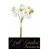Bouquet Mini Peonie C.38 Champagne