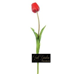 TULIPANO NATURAL TOUCH  H.47 RED