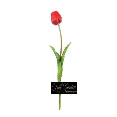 TULIPANO NATURAL TOUCH  H.47 RED