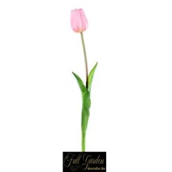TULIPANO NATURAL TOUCH  H.47 PINK