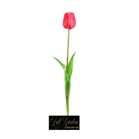 TULIPANO NATURAL TOUCH  H.47 BEAUTY