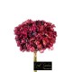 BOUQUET ORTENSIE CM.35 BEAUTY