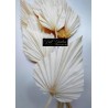 *** Palm Spear X 5 Bianco