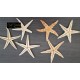 ***STELLE MARINE BABY CM 2/3 PZ. 100 NATURALE