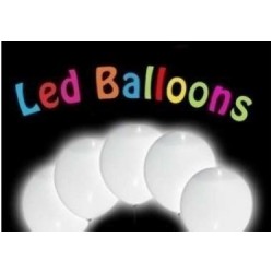 LED WHITE PER PALLONCINO PZ 5