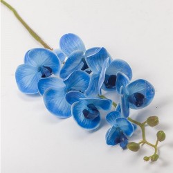 Ramo Orchidea X 7 Cm 74 - Blue