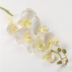 RAMO ORCHIDEA X 7 CM 74 - CREAM