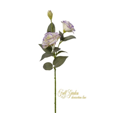 RAMO LISIANTHUS X 2 CM 70 - CREAM/LA NG037