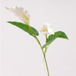 RAMO CALLA X 2 CM 69 - WHITE W1