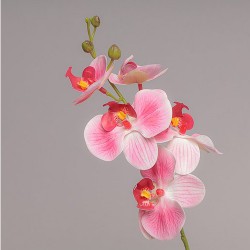 Ramo Mini Orchidea X 5 Cm 44 - Pink 04pr