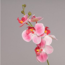 RAMO MINI ORCHIDEA X 5 CM 44 - PINK 04PR