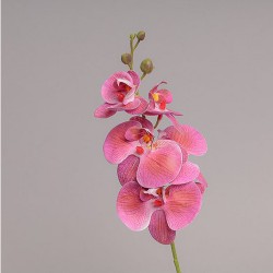 Ramo Mini Orchidea X 5 Cm 44 - Purple Pu80