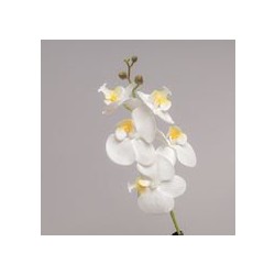 RAMO MINI ORCHIDEA X 5 CM 44 - WHITE WH82