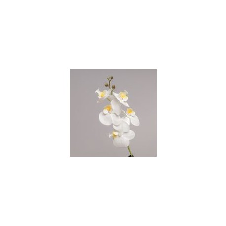 RAMO MINI ORCHIDEA X 5 CM 44 - WHITE WH82