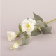 RAMO LISIANTHUS X 2 CM 70 - CREAM NG001