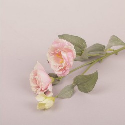 Ramo Lisianthus X 2 Cm 70 - Pink Ng006