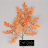 Ramo Nin Ficus Cm.64 Orange