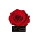 ROSE STABILIZZATE X 9  CM 3 ROSSE