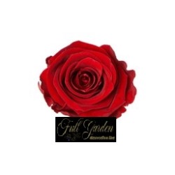 Rose Stabilizzate X 9  Cm 3 Rosse