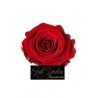 Rose Stabilizzate X 9  Cm 3 Rosse