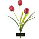 TULIPANO X 3 CM.48 ROSSO