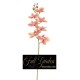 PHALENOPSIS NATURAL TOUCH PEACH CM 87