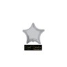 Mylar Stella Argento  18"