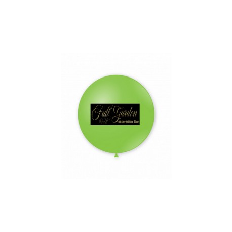 PALLONCINO PASTELLO VERDE18  22 DA ESTERNO CM 55