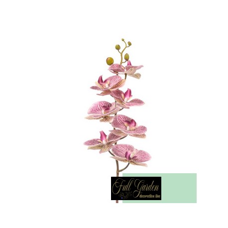 PHALENOPSIS NATURAL TOUCH PINK CM 87
